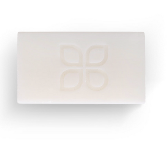 Sudraba ziepes (Antibacterial Soap) Ādas un auduma šķiedru reģenerācijas un lādēšanas stacija 100 g